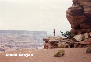 looking.JPG (27760 bytes)